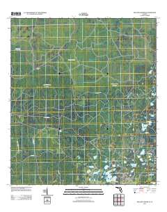 Mallory Swamp SE 2012 topographic map thumbnail