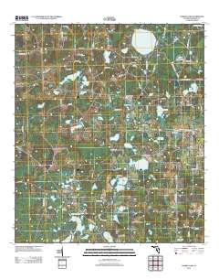Cherry Lake 2012 topographic map thumbnail