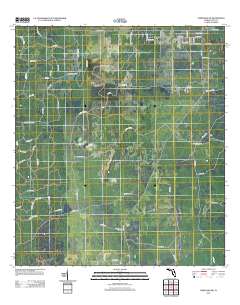 Chiefland SW 2012 topographic map thumbnail