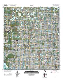 Citrus Park 2012 topographic map thumbnail