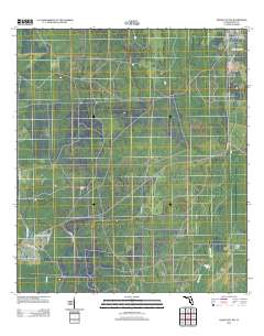 Cross City SW 2012 topographic map thumbnail