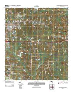 De Funiak Springs East 2012 topographic map thumbnail