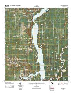 Dead Lakes 2012 topographic map thumbnail