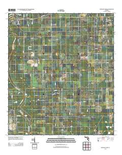Dowling Park 2012 topographic map thumbnail