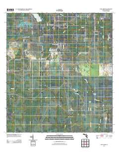 Fort Green 2012 topographic map thumbnail