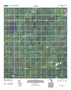 Fort Kissimmee NE 2012 topographic map thumbnail