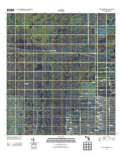 Fort Kissimmee SE 2012 topographic map thumbnail