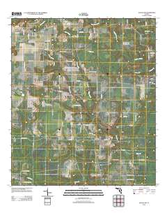 Altha East 2012 topographic map thumbnail