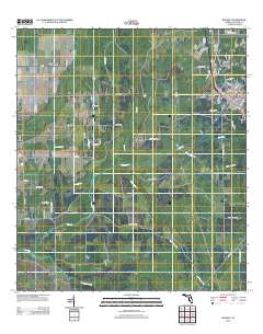 Bunnell 2012 topographic map thumbnail