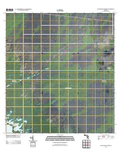 Gator Hook Swamp 2012 topographic map thumbnail