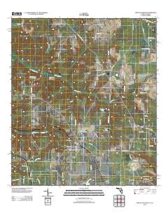 Mount Pleasant 2012 topographic map thumbnail