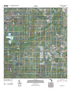 Myakka City 2012 topographic map thumbnail