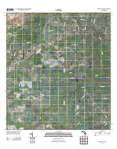 Myakka Head 2012 topographic map thumbnail