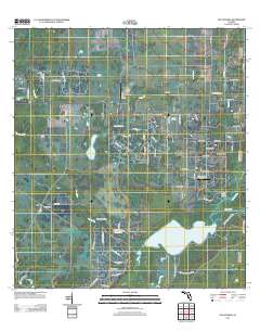 Old Myakka 2012 topographic map thumbnail