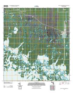 Royal Palm Hammock 2012 topographic map thumbnail