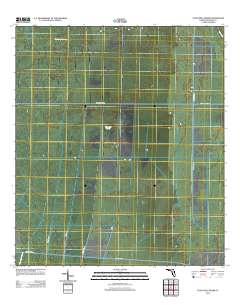 Tates Hell Swamp 2012 topographic map thumbnail
