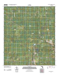 Tenmile Swamp 2012 topographic map thumbnail