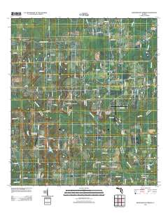 Worthington Springs 2012 topographic map thumbnail