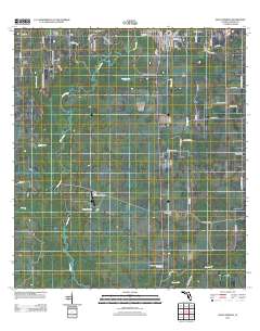 Zolfo Springs 2012 topographic map thumbnail