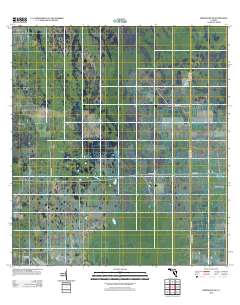 Immokalee NE 2012 topographic map thumbnail