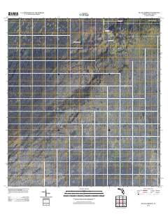 Black Hammock 2012 topographic map thumbnail