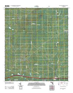 Big Gum Swamp 2012 topographic map thumbnail