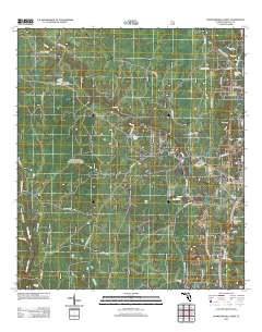 Crawfordville West 2012 topographic map thumbnail
