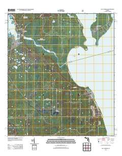 Salt Springs 2012 topographic map thumbnail