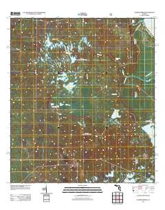 Juniper Springs 2012 topographic map thumbnail
