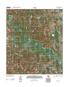 Lake Leon 2013 topographic map thumbnail