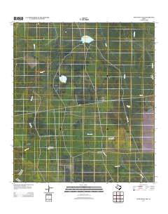 Twin Mott Lake 2013 topographic map thumbnail