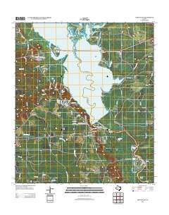 Town Bluff 2013 topographic map thumbnail
