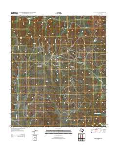 Pecan Mott 2012 topographic map thumbnail