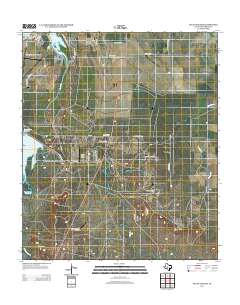 Pecan Station 2013 topographic map thumbnail