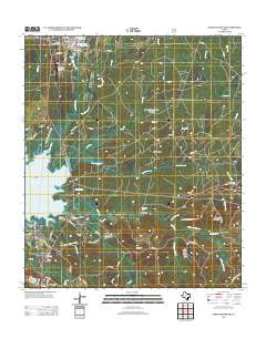 Pineland South 2012 topographic map thumbnail