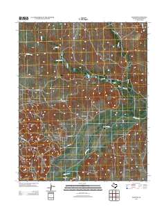 Plemons 2013 topographic map thumbnail