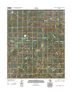 Prickly Pear Branch 2012 topographic map thumbnail