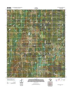 Old Panola 2013 topographic map thumbnail
