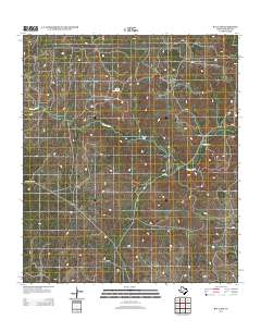Ray Lake 2012 topographic map thumbnail