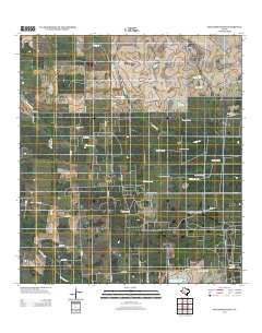 Seeligson Ranch 2013 topographic map thumbnail