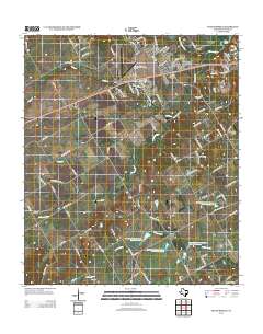 South Bosque 2012 topographic map thumbnail
