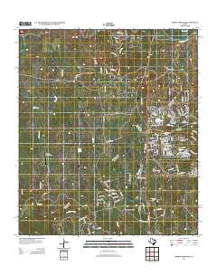Spring Branch 2013 topographic map thumbnail