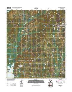 Bronson 2013 topographic map thumbnail