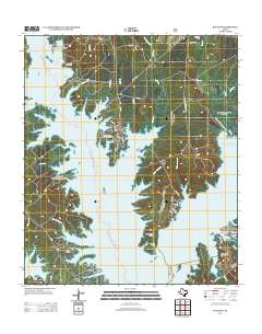 Buck Bay 2013 topographic map thumbnail
