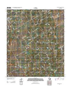 Covington 2012 topographic map thumbnail