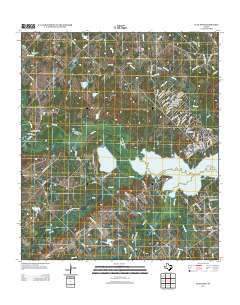Flag Pond 2013 topographic map thumbnail