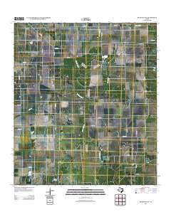 Francitas NE 2013 topographic map thumbnail
