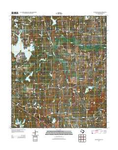 Leagueville 2013 topographic map thumbnail
