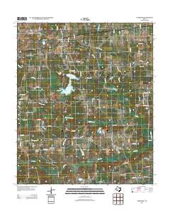 Leesburg 2012 topographic map thumbnail