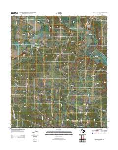 Leon Junction 2012 topographic map thumbnail